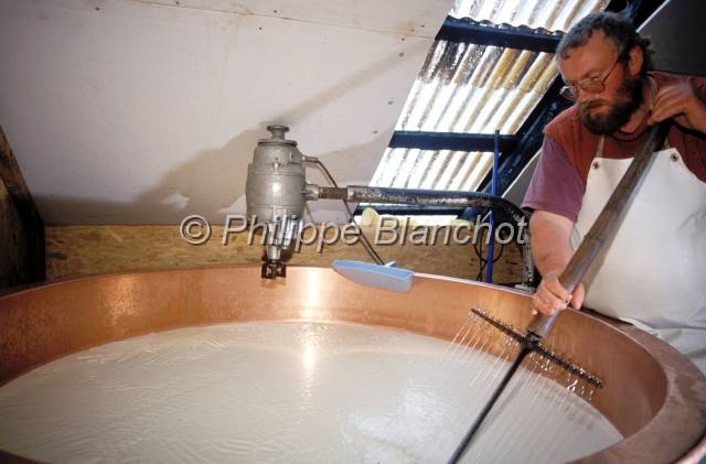 tomme de savoie 13.JPG - Fabrication de la tomme de SavoieAlpageMassif des BaugesSavoieFrance